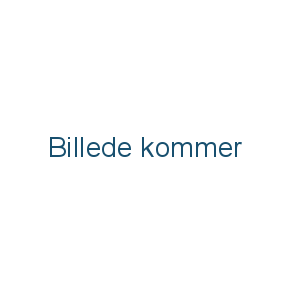 Autostole og tilbehør
